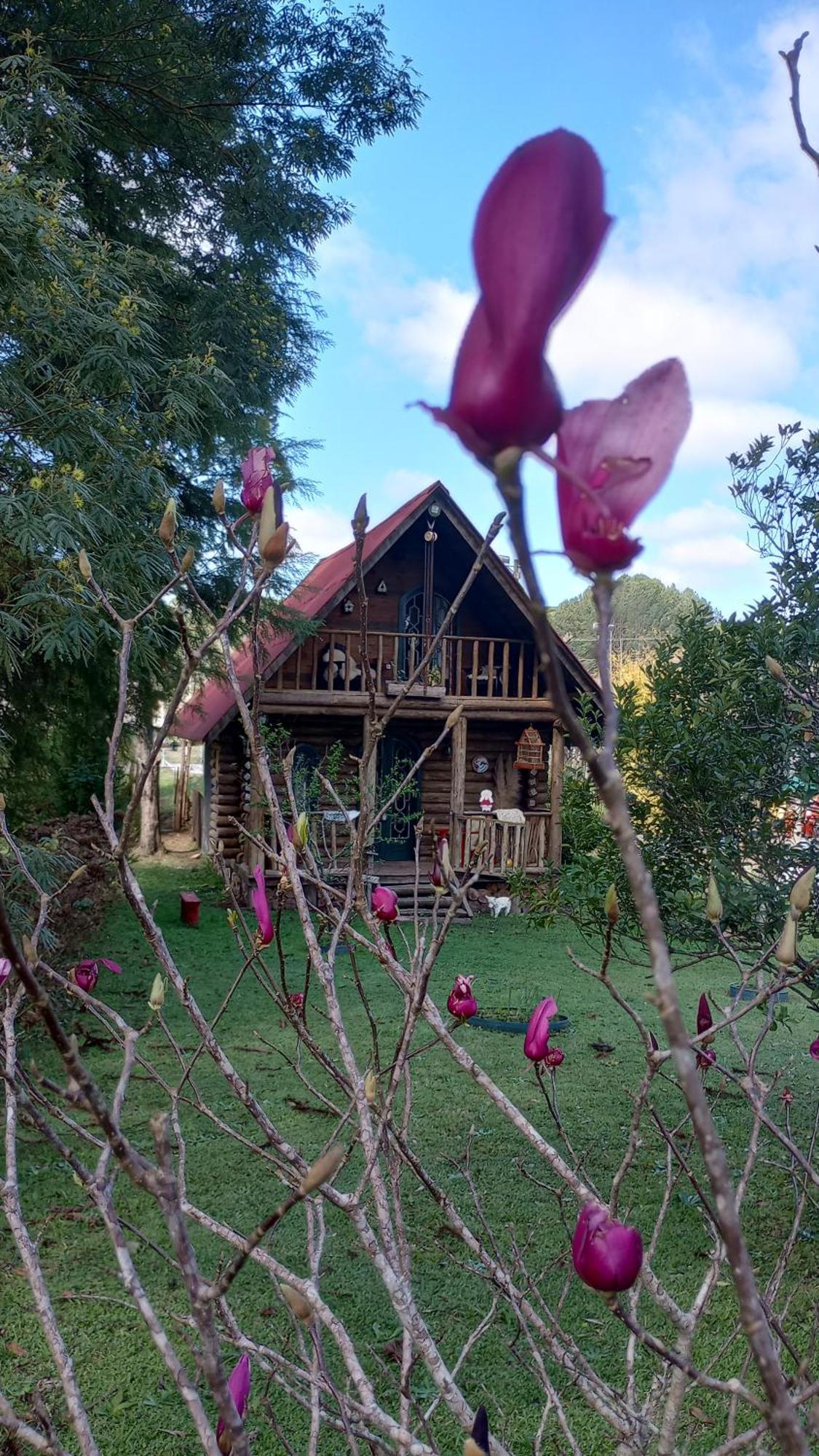 Hotel Casa De Toras à Campo Alegre  Extérieur photo